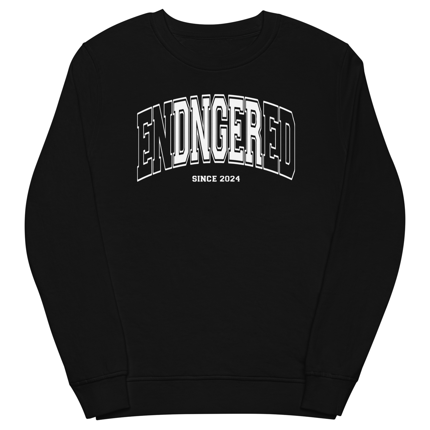 Sweatshirt femme - Since 2024