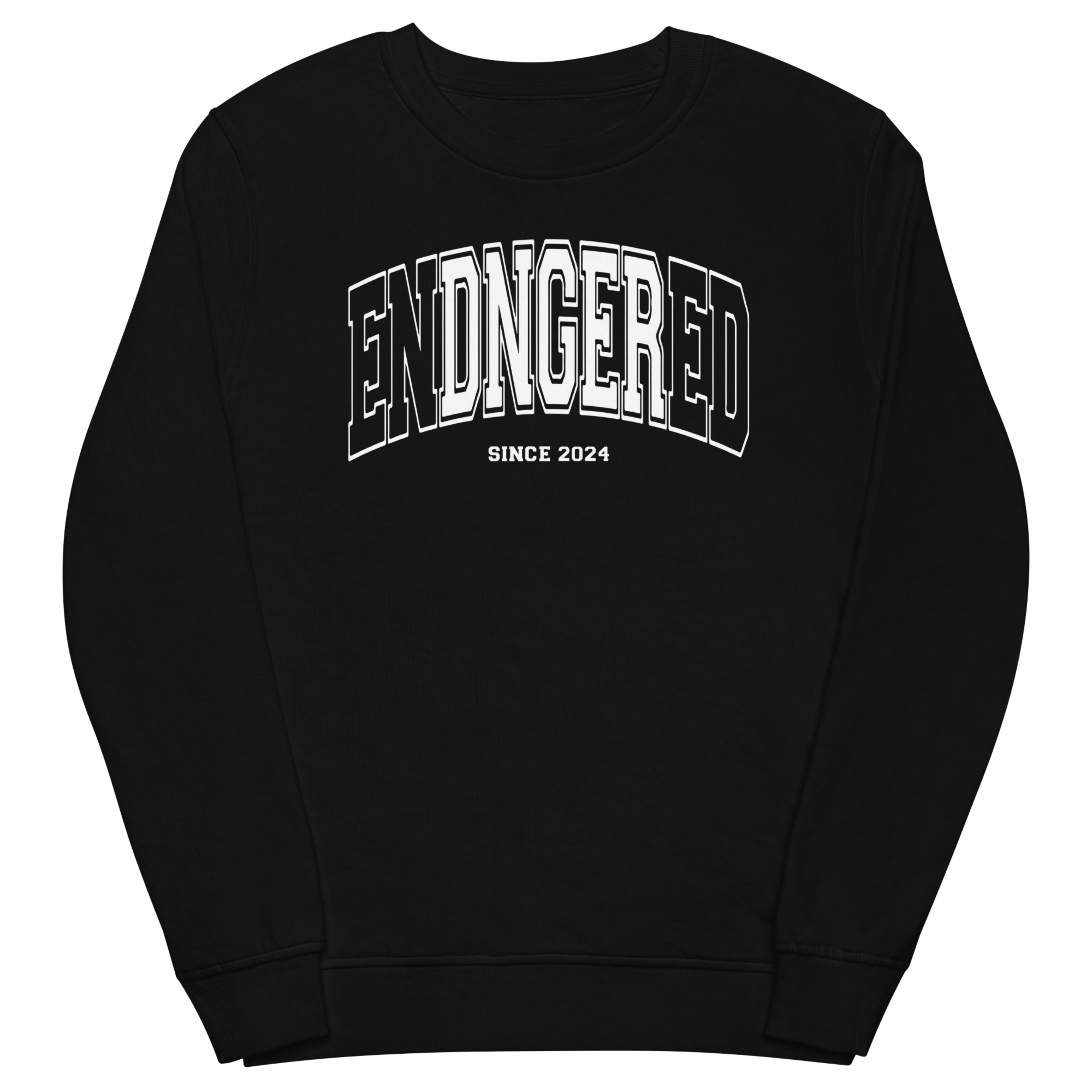 Sweatshirt femme - Since 2024