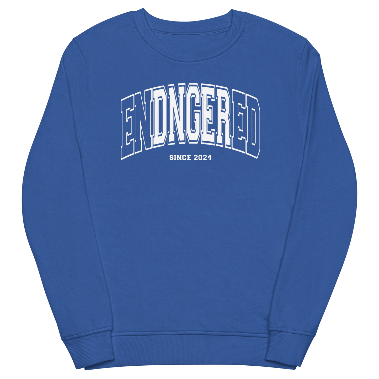 Sweatshirt femme - Since 2024