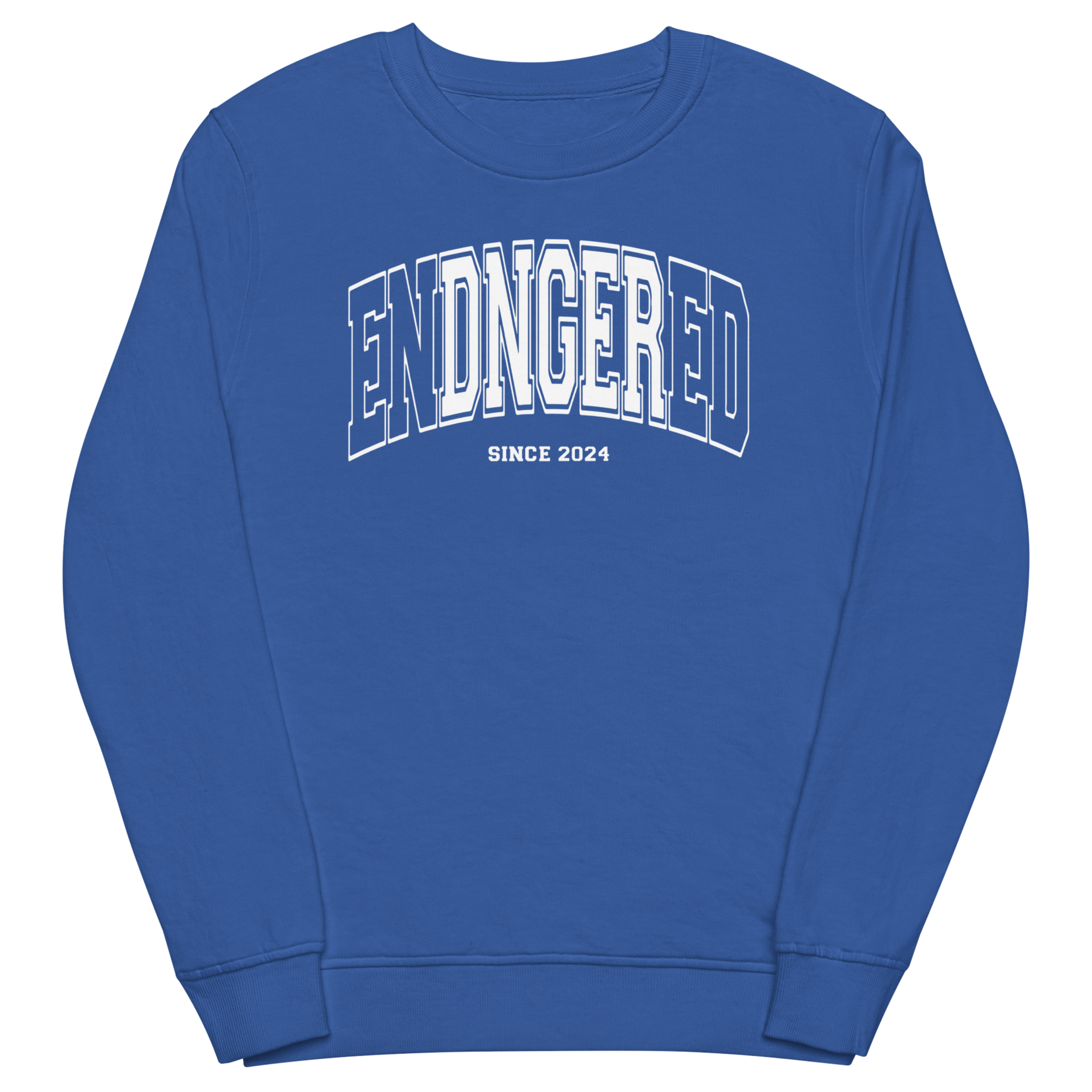 Sweatshirt femme - Since 2024